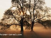 israel vacances